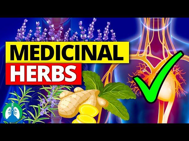 Top 10 Most POWERFUL Medicinal Herbs (Backed by Science)