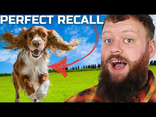 HOW TO TEACH PERFECT RECALL! STOP YOUR DOG IGNORING YOU OFF LEASH