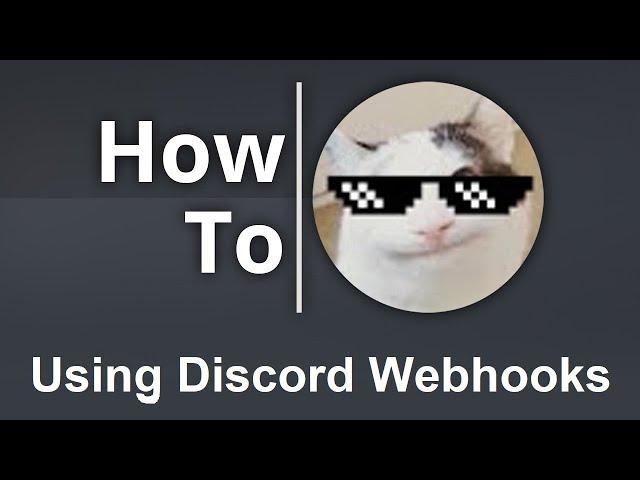 Make Videos Like Beluga Using Discord Webhooks