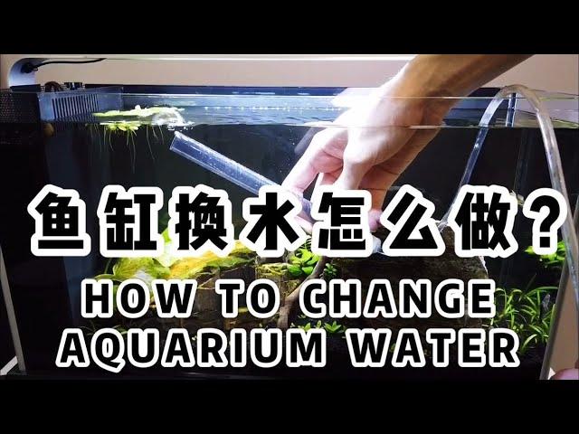 鱼缸如何换水？｜How To Do Aquarium Water Change