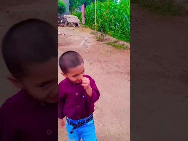 Hammad is playing with baby dog  #shortvideo #fypシ #yt #trending