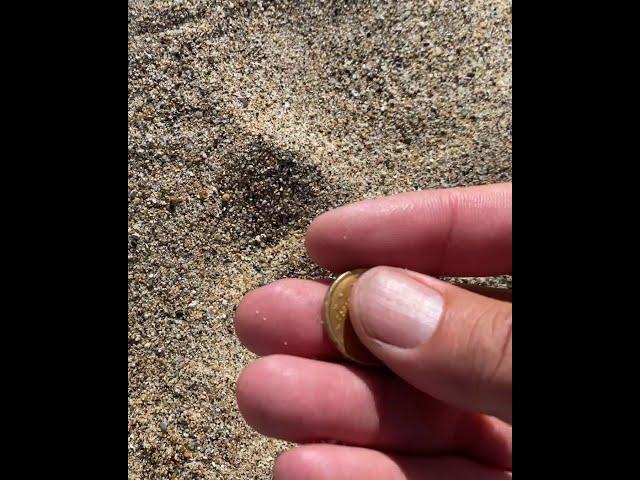 I found buried treasure on the beach.