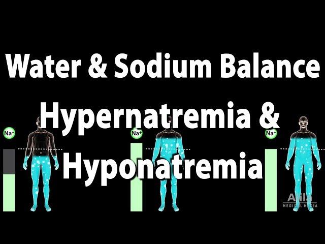 Water and Sodium Balance, Hypernatremia and Hyponatremia, Animation