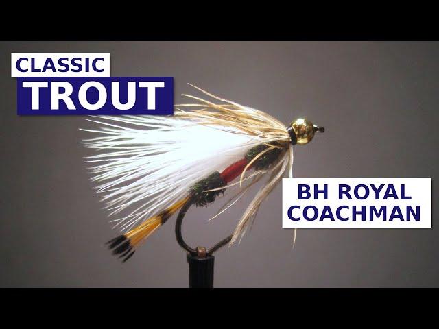 Fly Tying a Bead Head Royal Coachman