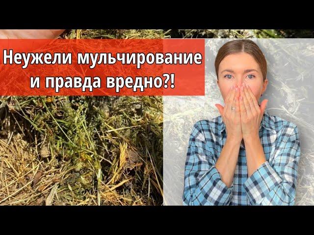 Без этого не получится повысить ПЛОДОРОДИЕ ПОЧВЫ на грядках. Моя главная ошибка мульчирования