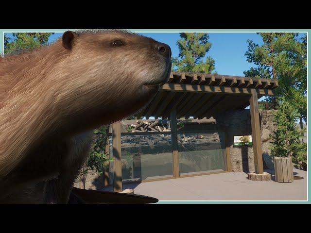 North American Beaver Habitat! | River Rock Zoo Remodel | Planet Zoo Slow Build [No Commentary]