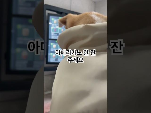 아메리카노 한 잔 주세요