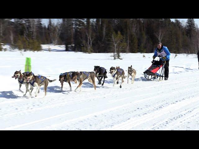 Copper Dog 150 Sled Dog Races (2020)
