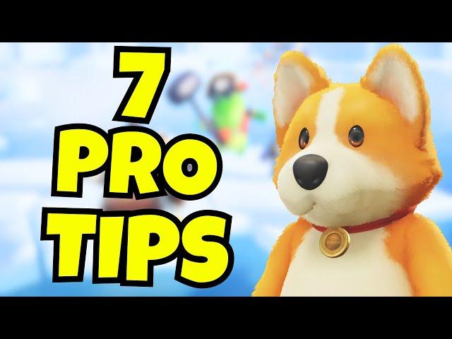 7 Pro Tips For Party Animals!