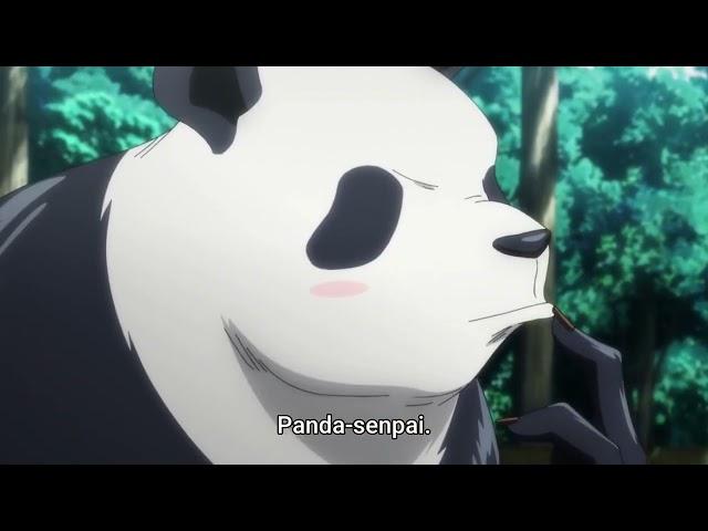 Panda getting zero explanation