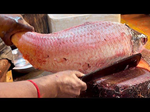 Amazing Cutting Skills | Big Rohu Fish Cleaning & Chopping By Expert Fish Cutter