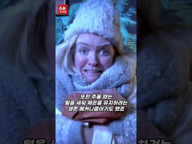  소름이 돋는 이유, 알고 보면 진화의 흔적! #60초상식