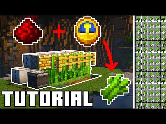 Automatic Sugarcane Farm ｜ Easy 1 19 2 Java Edition Tutorial ｜ DigFarmCraft