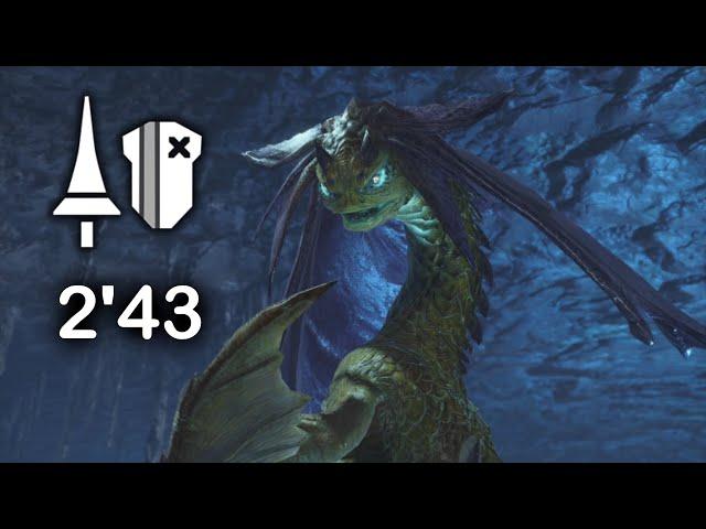 MH Rise | Somnacanth 2'43''08 Lance + Commentary