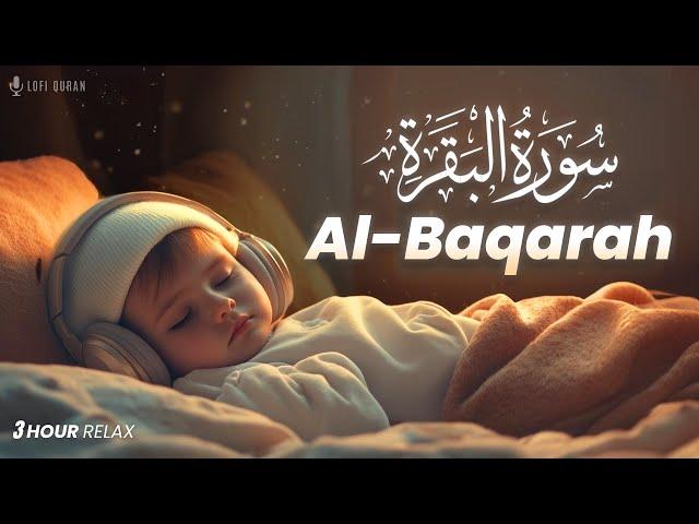 Surah Al Baqarah Full سورة البقره | PROTECT YOURSELF FROM EVIL | Surah Baqarah Lofi | LOFI QURAN