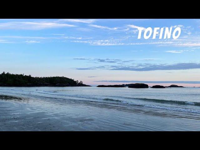 Bear watching and whale watching in Tofino (West Canadian Road Trip)