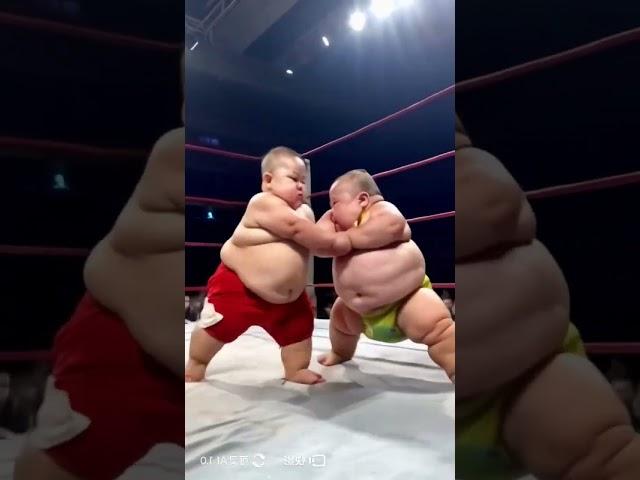 Baby wrestling #ai #fup #followme #trending #trendingshorts #cute