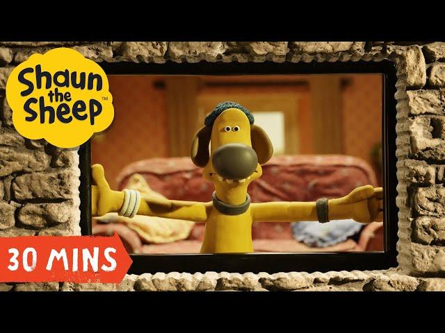 30 MIN Best Of Shaun the Sheep S04 Compilation