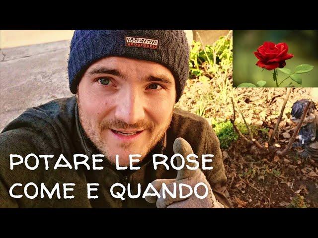 POTARE LA ROSA - COME E QUANDO