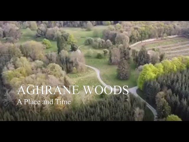 A Historical Exploration of Aghrane Forest - Gerry Connolly