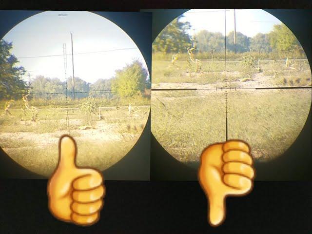 Centerpoint ($100) vs Hawke Optics ($400) 600 yards!!!