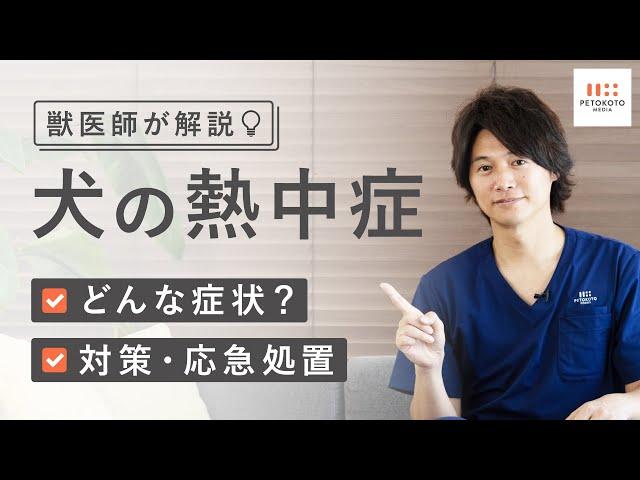 じつは室内が多い【犬の熱中症】の症状や対策・対処法を獣医師が解説！（フレッシュペットフード / 手作りドッグフード）