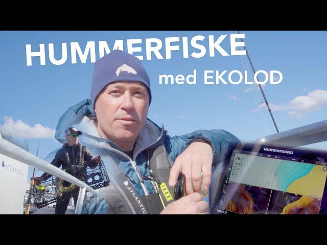 FISKA HUMMER med EKOLOD | Jonas Nordigårds visar sin metod