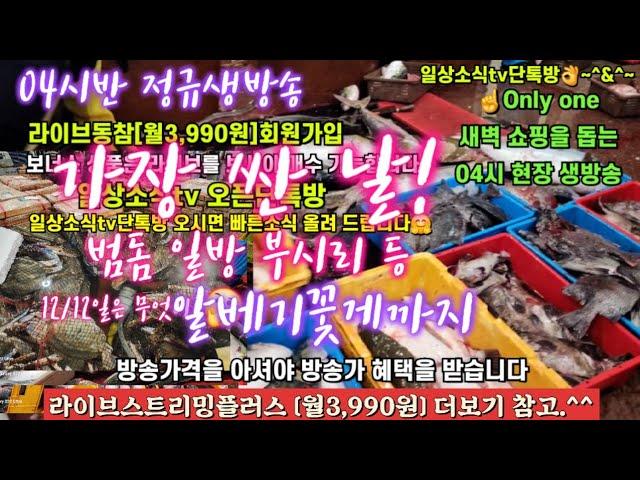 대방어 생굴 생새우 꼬막 숭어 갈치 12/12일 04시반 정규라이브(월~토)️Only one 새롭고 싸고 다양한 노량진수산시장 새벽 쇼핑을 돕는 정규생방송(Live)운영~^^