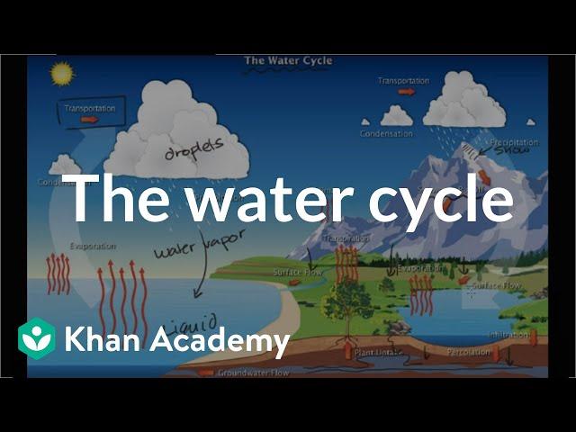 The water cycle  | Ecology | Khan Academy