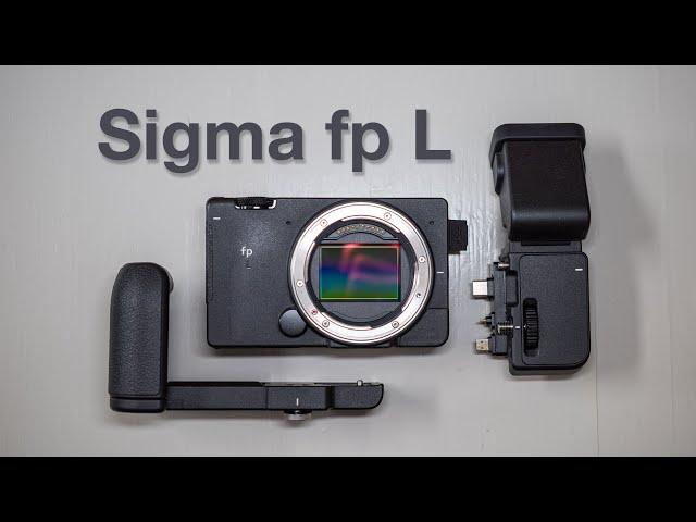 Sigma fp L –Different But Flawed