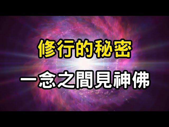 修行的秘密：一念之間見神佛！靜觀如蓮，修行中的美學之道，如何在凡塵中修煉純淨的內在美？ #開悟 #覺醒 #靈性成長