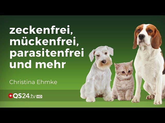 Tiergesundheit ohne Chemiekeulen! | @QS24