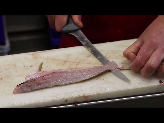 Filleting a flathead