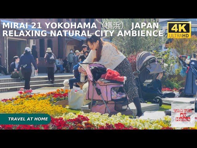 4k hdr japan travel | Walk in Minato Mirai 21 Yokohama（横浜）japan |  Relaxing Natural City ambience