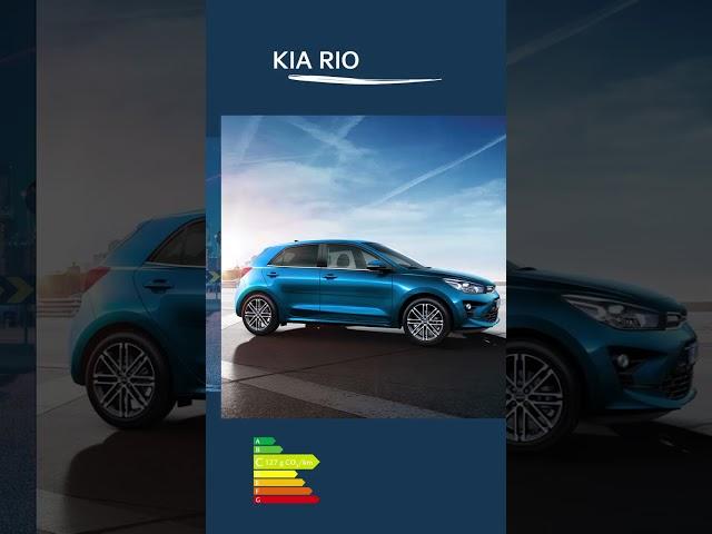 Kia Stonic, Rio, Picanto, rendez-vous dans votre concession Kia à Belfort !