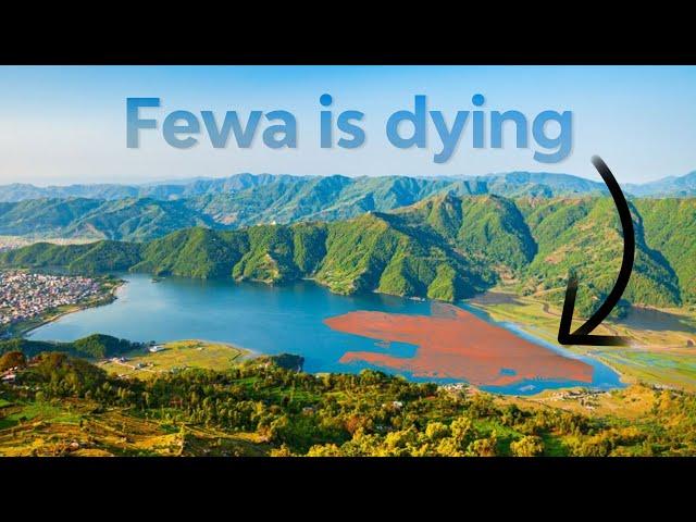 Fewa Lake will DISAPPEAR completely SOON.....
