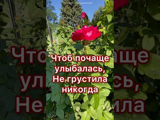 Танюша, с днем ангела! Поздравление для Татьяны #поздравлениедлятатьяны #сднемангелататьяну