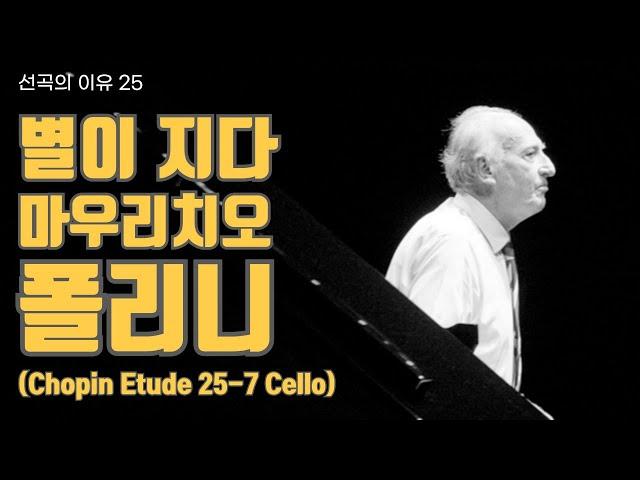 선곡의 이유 25. 별이 지다.. 마우리치오 폴리니 (쇼팽 연습곡 op.25-7 'Cello')