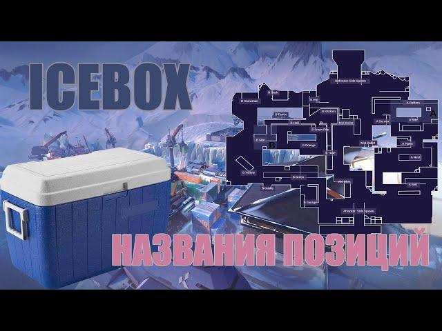 Айсбокс Позиции | Названия позиций на Icebox (для микса, команды)