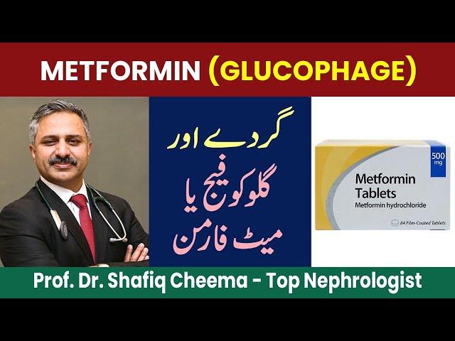 Metformin or Glucophage & Your Kidneys