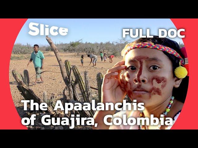 The Apalaanchis People: Thriving Amidst Nature's Challenges in Colombia | SLICE | FULL DOCUMENTARY