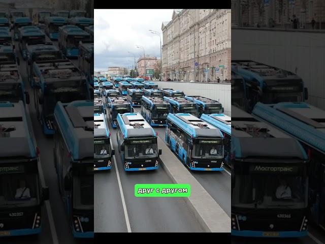 Почему московский транспорт меняет цвета? #транспорт #москва #автобусы #урбанист #мск