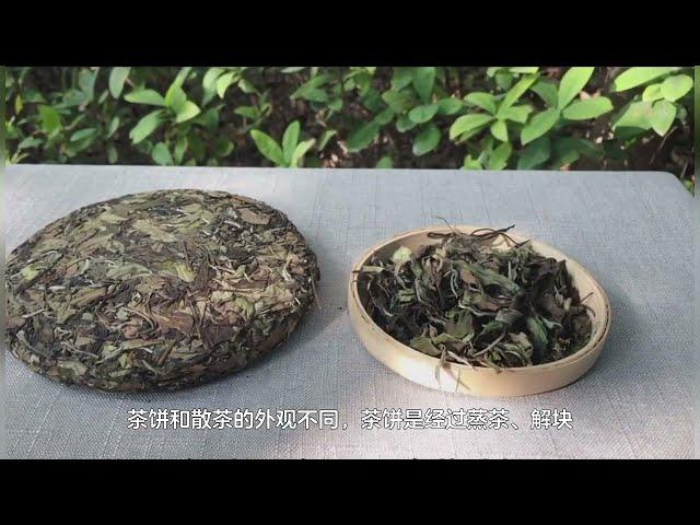 茶饼和散茶有什么区别？该买哪种