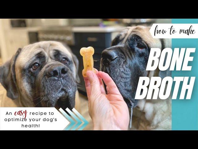 How To Make Bone Broth | EASY Slow Cooker Bone Broth Recipe For Dogs | FEEDING TIPS & BENEFITS