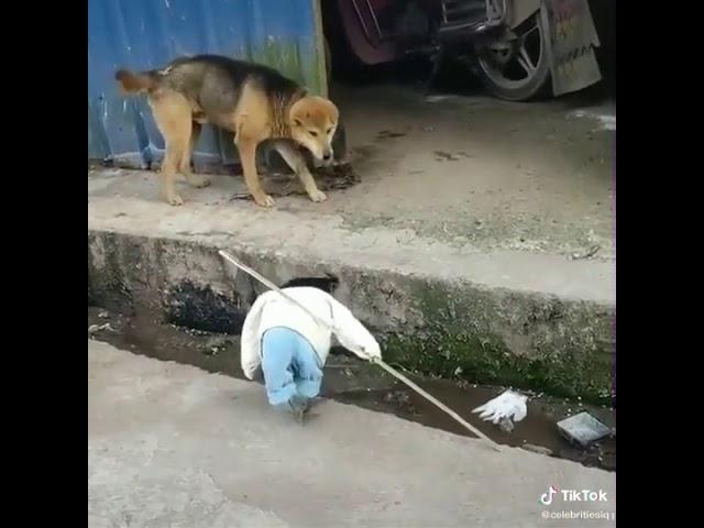 تفاصيل عراقيه كشخه ماركت كشخه عراقيه