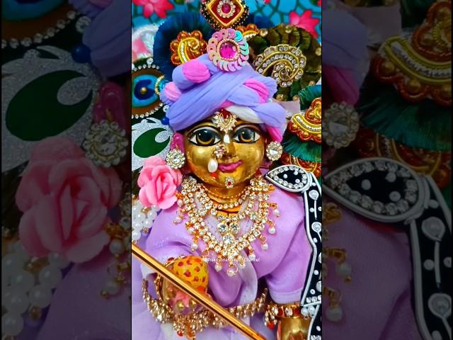 Laddu Gopal Aarti।Laddu gopal stuti  #shorts #aarti #laddugopalaarti