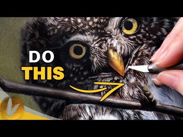 Sneaky Tricks To Feathers In Colored Pencil | Drawing Tips