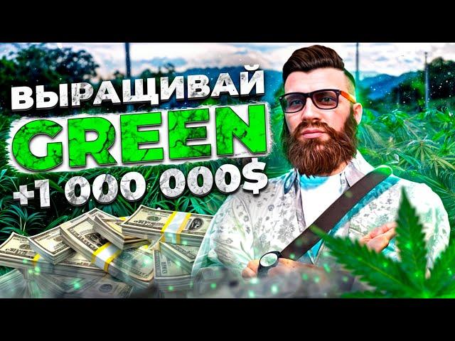 ГАЙД по Выращиванию ГРИН | Лучший заработок для новичка на Majestic RP