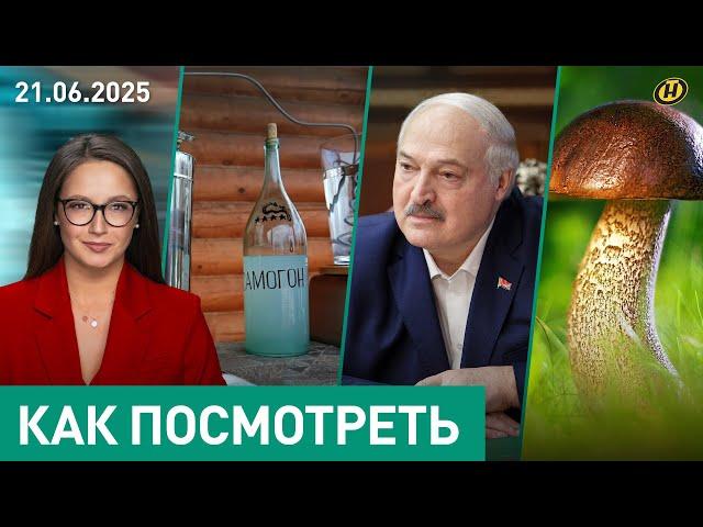 ЛУКАШЕНКО И КЕЛЛОГ ПРОВЕЛИ ПЕРЕГОВОРЫ / Помилование 14 осужденных / Лесной самогон / Охота на грибы