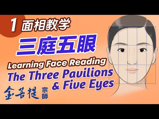 Learning Face Reading the Three Pavilions & Five Eyes (Part 1)